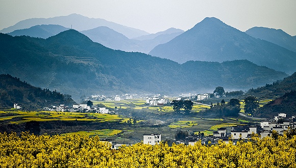 江西深巷里的惊喜小店探秘