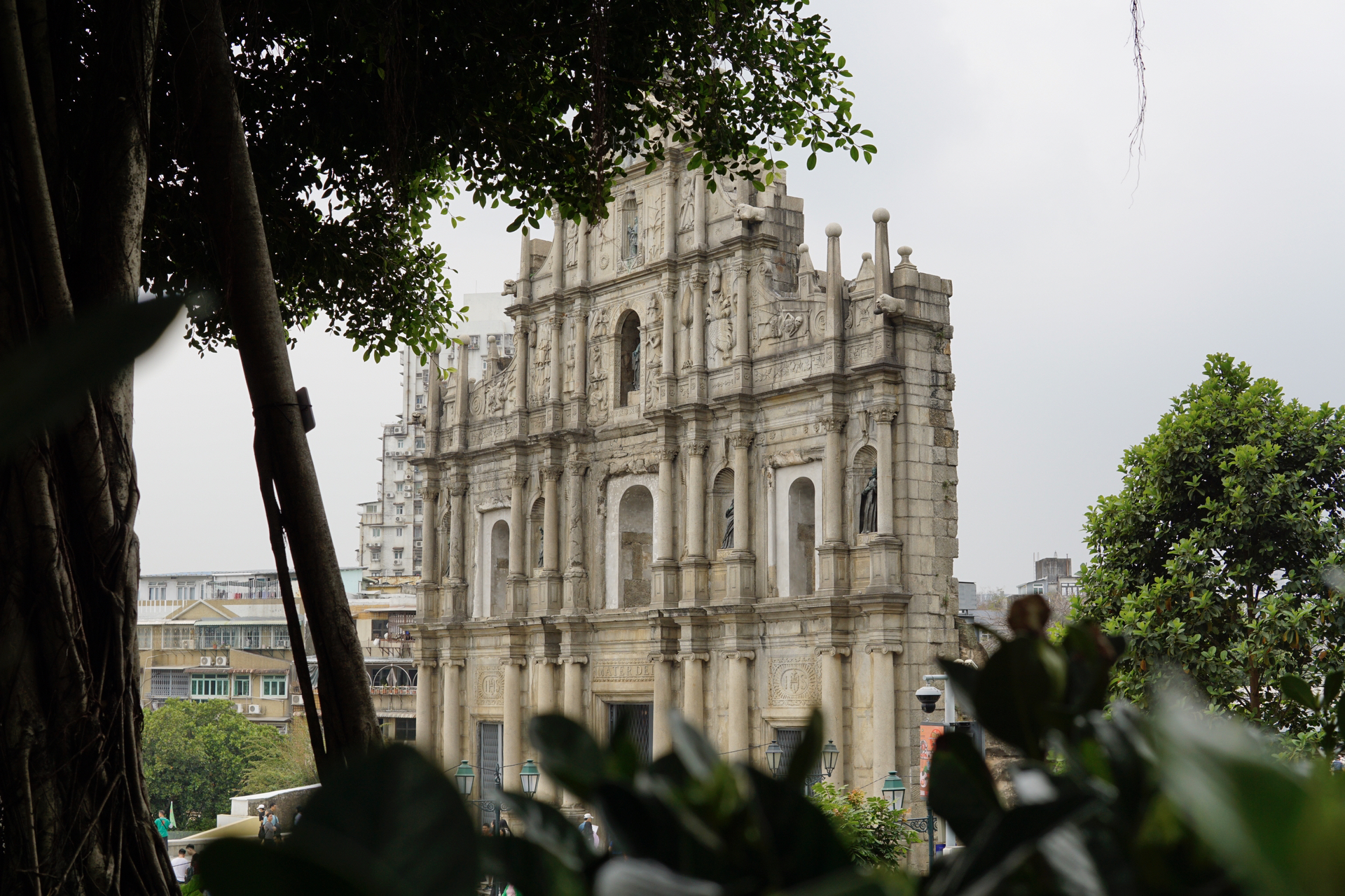 霓虹回忆，澳门夜色中的演员独白