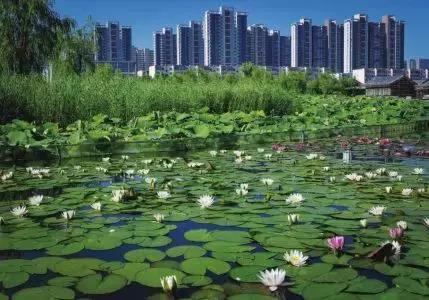 大同之旅，探寻内心平静的旅程