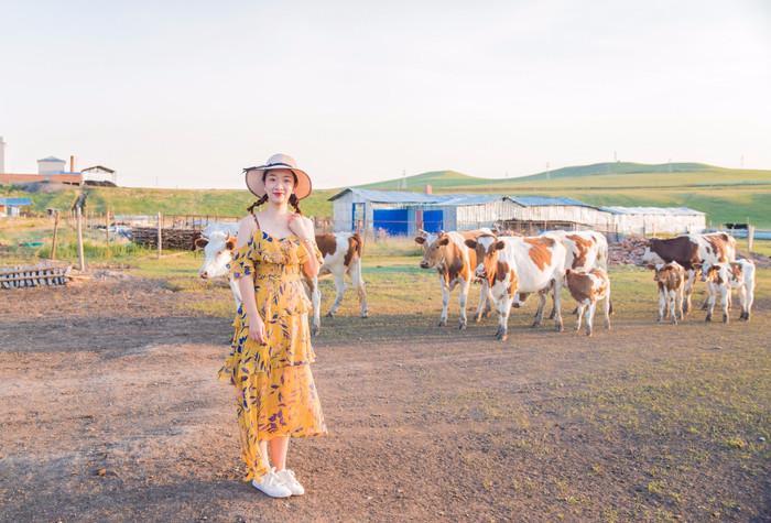 呼伦贝尔深度游，探寻小巷中的独特风情