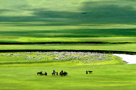 梦想起航地,呼伦贝尔,翱翔的梦想天堂