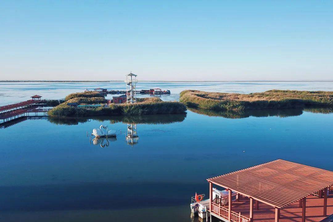 巴彦淖尔技能攻略,轻松上手某项技能的实用指南